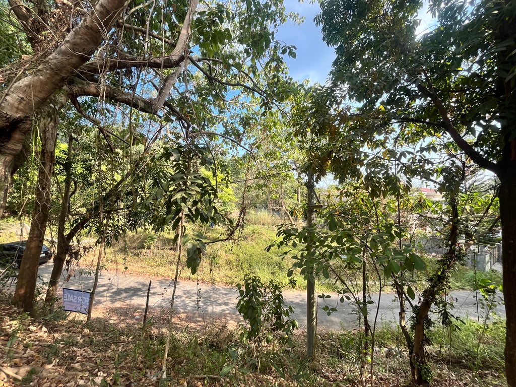 Prime 700+ sqm Farm Residential Lot in Timberland Heights, San Mateo, Rizal — San Mateo (Rizal) photo 4
