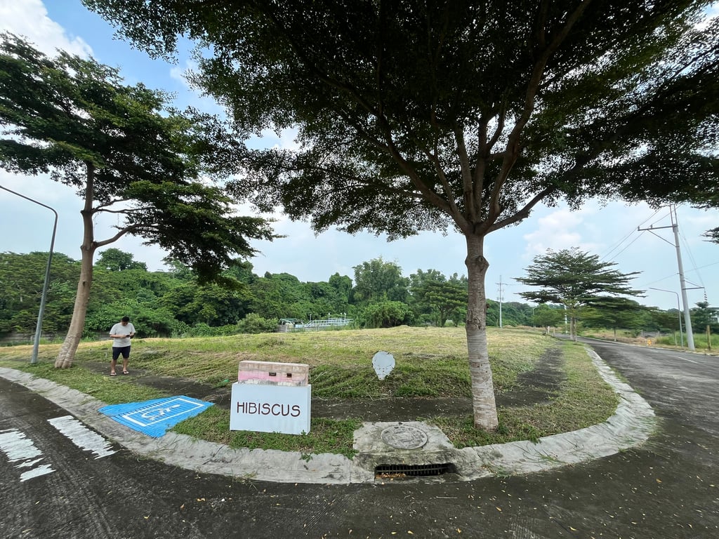 Prime 345 sqm Corner Lot for Sale in Racha Mansions, South Forbes (Near Nuvali) — Silang photo 2