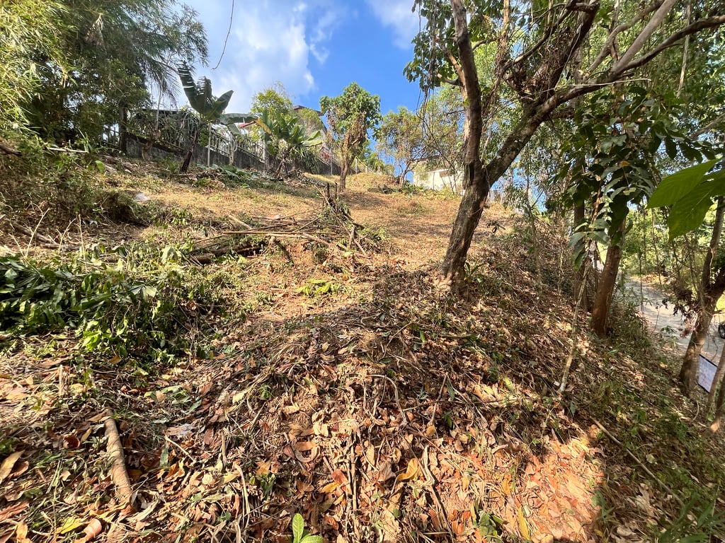 Prime 700+ sqm Farm Residential Lot in Timberland Heights, San Mateo, Rizal — San Mateo (Rizal) photo 2