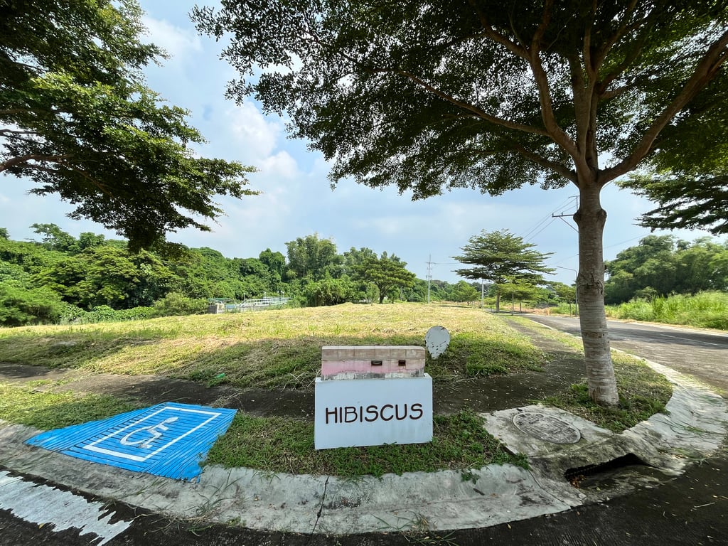 Prime 345 sqm Corner Lot for Sale in Racha Mansions, South Forbes (Near Nuvali)