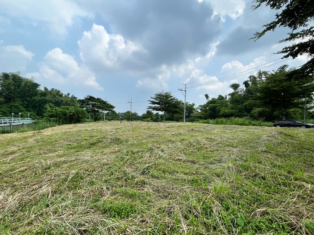 Prime 345 sqm Corner Lot for Sale in Racha Mansions, South Forbes (Near Nuvali) — Silang photo 5